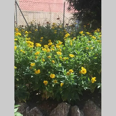 House Stazione Mazzini Flat X 2 Appartamento *